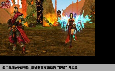 蜀门私服WPE开蛋：揭秘非官方途径的“捷径”与风险