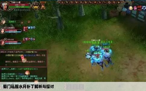 蜀门私服水月补丁解析与探讨