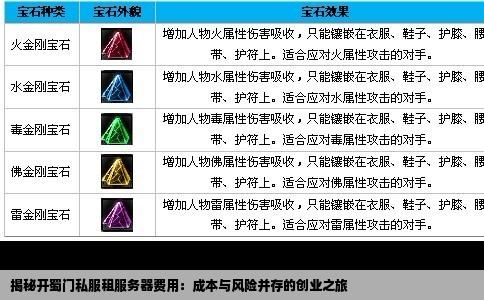 揭秘开蜀门私服租服务器费用：成本与风险并存的创业之旅